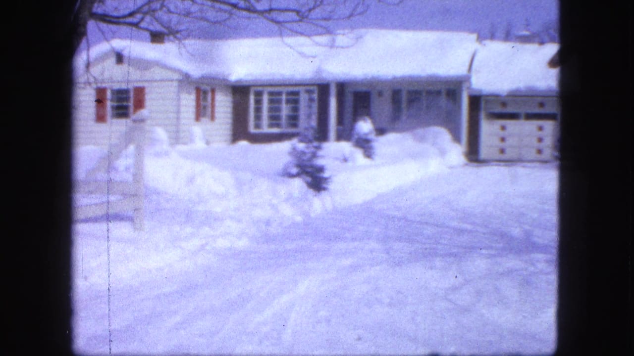 Snowy driveway and white house with attached garage partly visible.