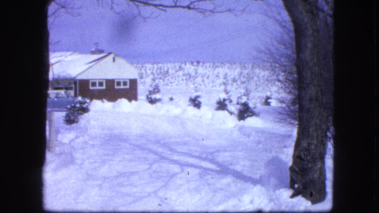 Snow-covered yard with a house on a hillside, bare trees, and tire tracks.