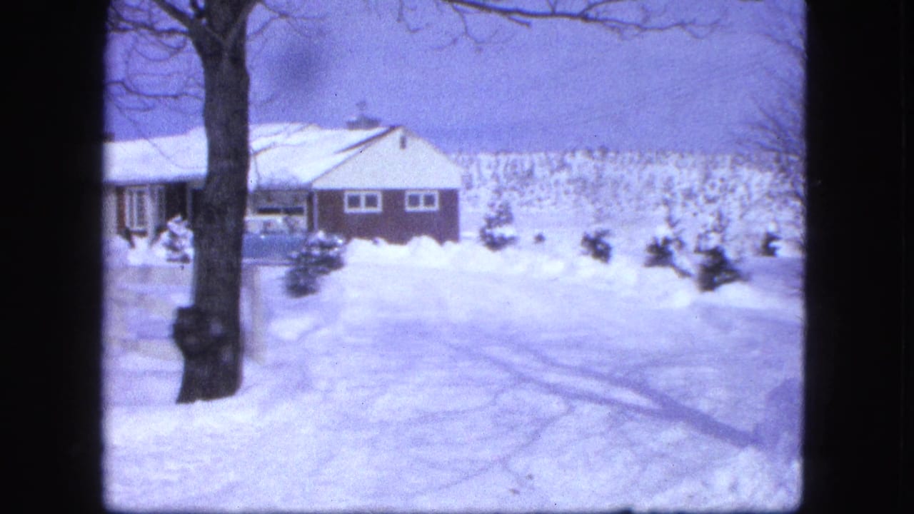 Snowy residential hillside with a house, bare tree, shrubs, and tracks in the snow.