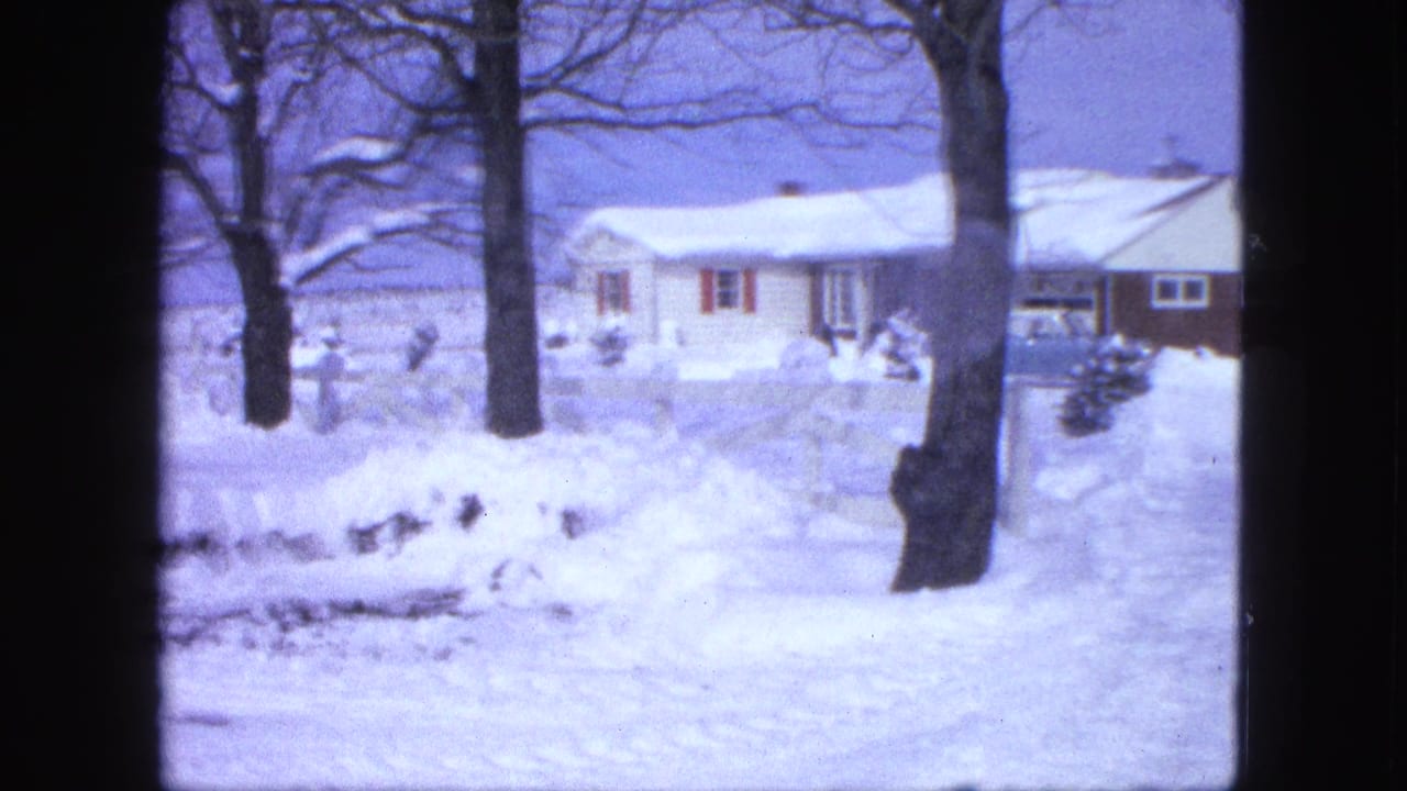 Snow-covered house seen beyond bare trees and a deep front yard in winter.