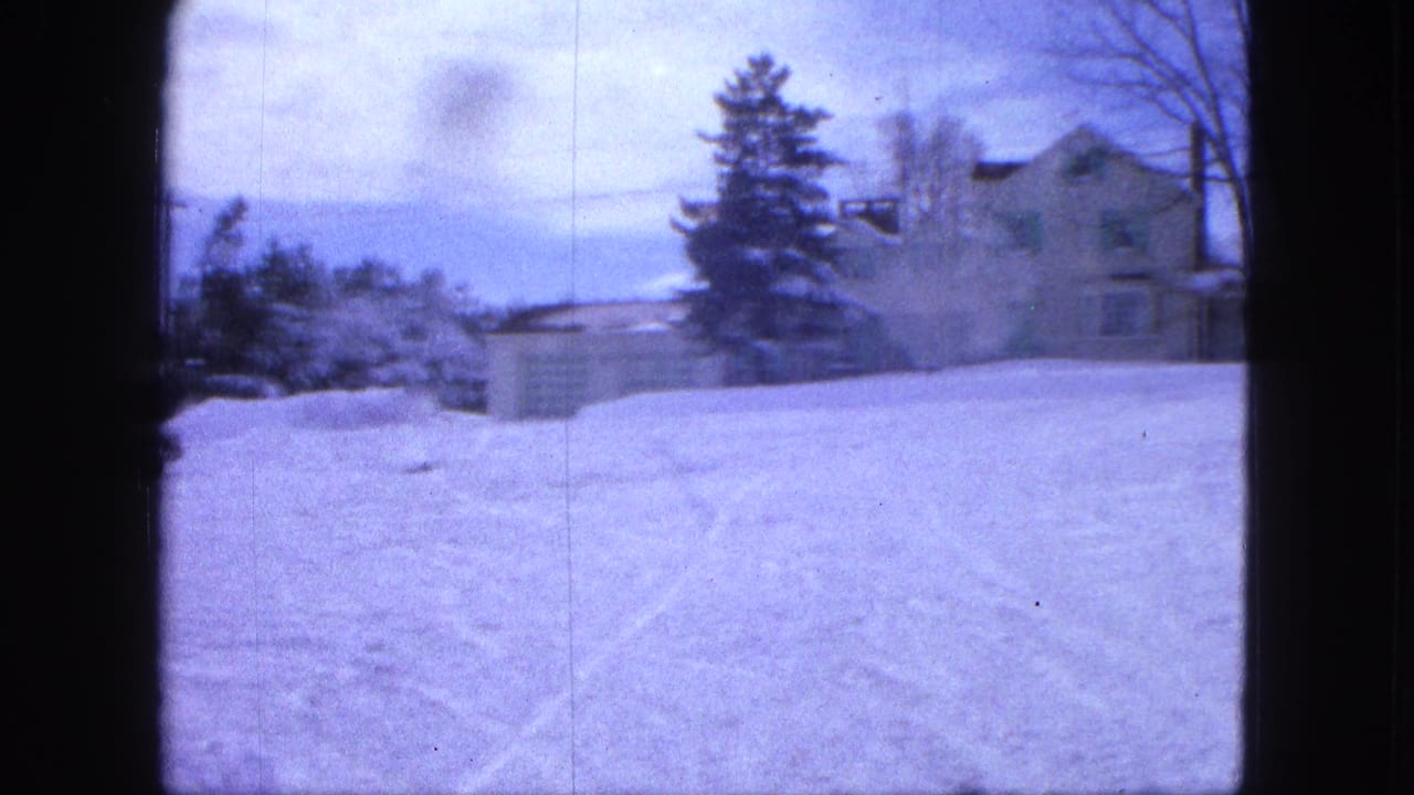 Snow-covered road leading toward a large house, evergreen tree, bare trees, and winter sky.