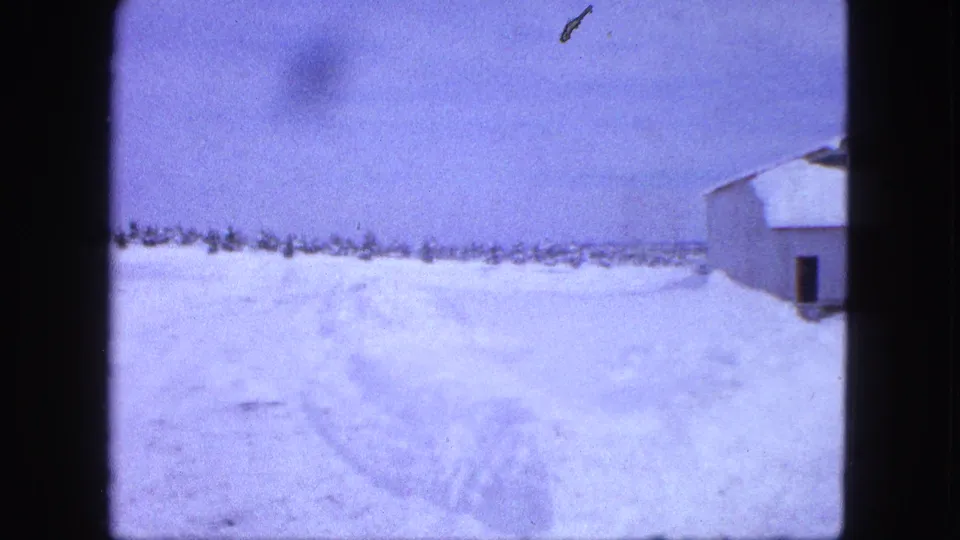 Proctor, Minnesota winter frame showing a snow-covered yard, faint tracks, distant trees, and a small outbuilding on the right.