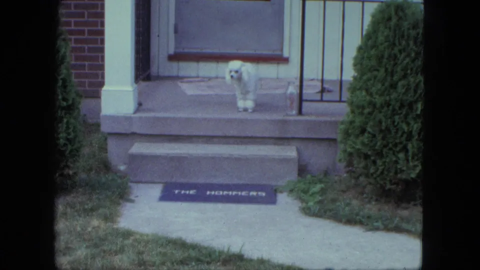 The white dog stands on a Saint Paul front porch near a glass bottle and a doormat reading THE HOMMERS.