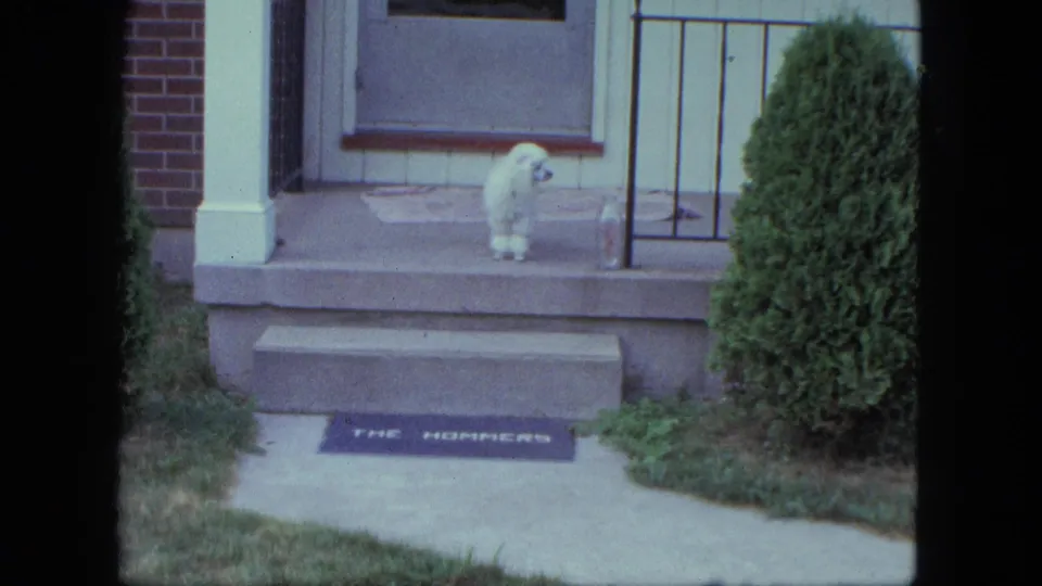A white dog turns on the front porch above a THE HOMMERS doormat in 1963 Saint Paul footage.
