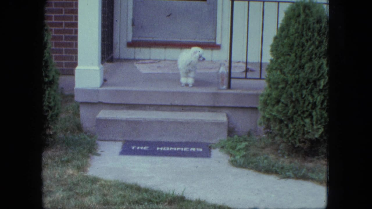 White dog standing on front steps beside a metal railing and personalized doormat.