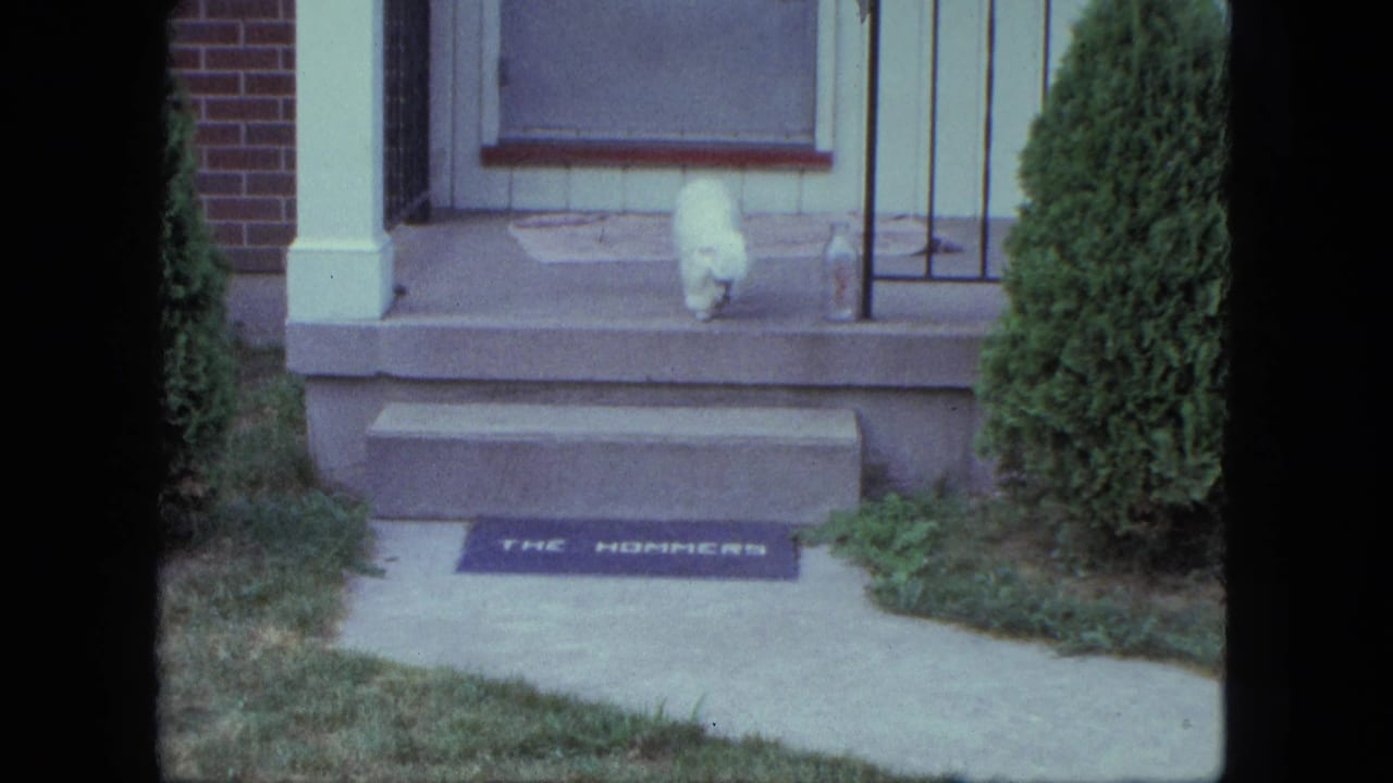 The white dog moves down the front steps of a Saint Paul house, with the personalized doormat and shrubs visible in the 8mm frame.
