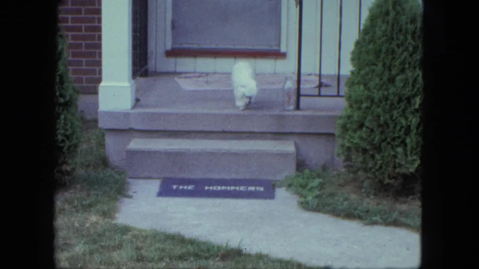 The white dog moves down the front steps of a Saint Paul house, with the personalized doormat and shrubs visible in the 8mm frame.