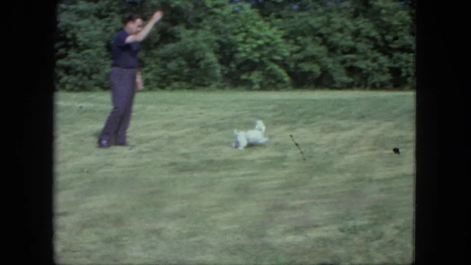The white dog runs across a broad Saint Paul lawn, framed by shrubs and the soft grain of 1960s 8mm home-movie footage.