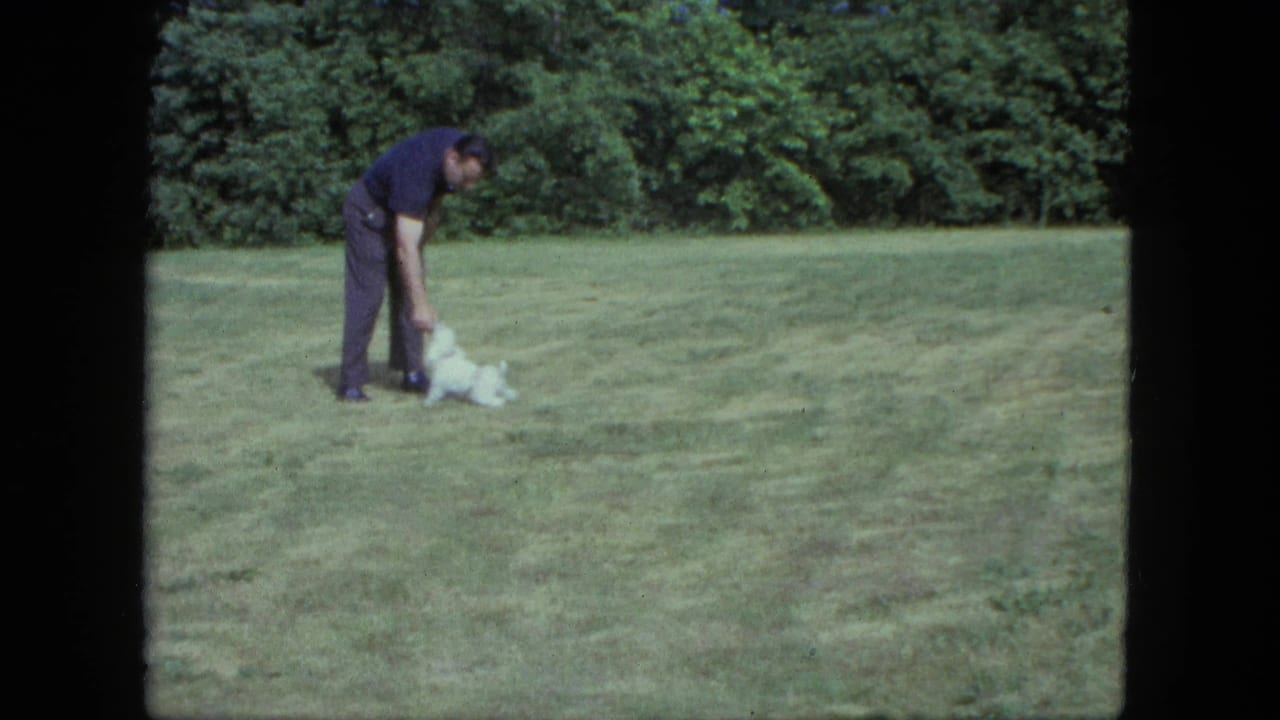 Man in dark clothing bends toward a small white dog on a lawn.