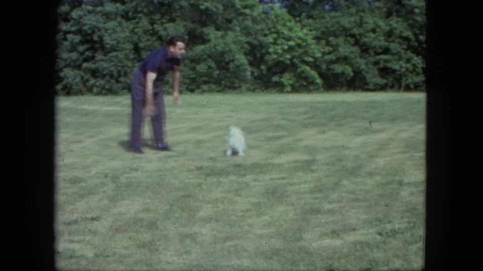 1963 Saint Paul home-movie frame showing a man watching a small white dog pause on the grass in bright daylight.