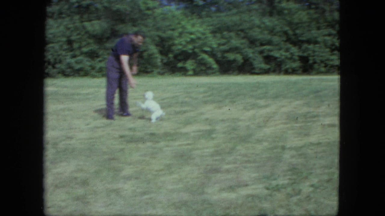 Man bends toward a small white dog on a lawn bordered by trees.