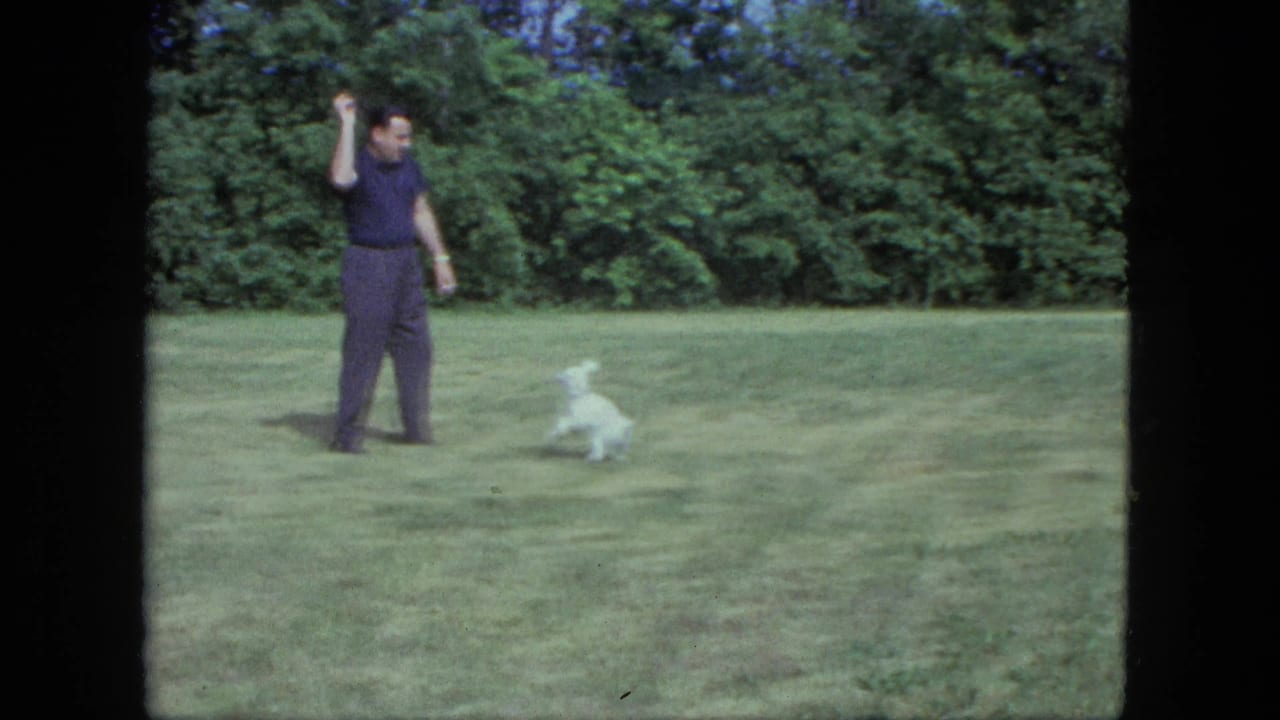 The man stands on the lawn with one arm raised while the small white dog runs nearby in the Saint Paul garden setting.