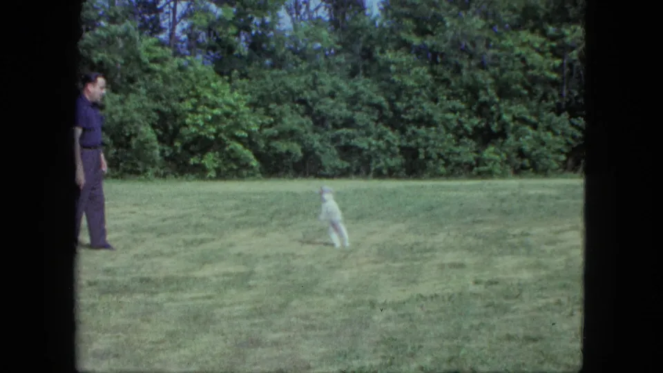 The man stands at the left while the small white dog pauses upright on the lawn in the 1963 Saint Paul yard.