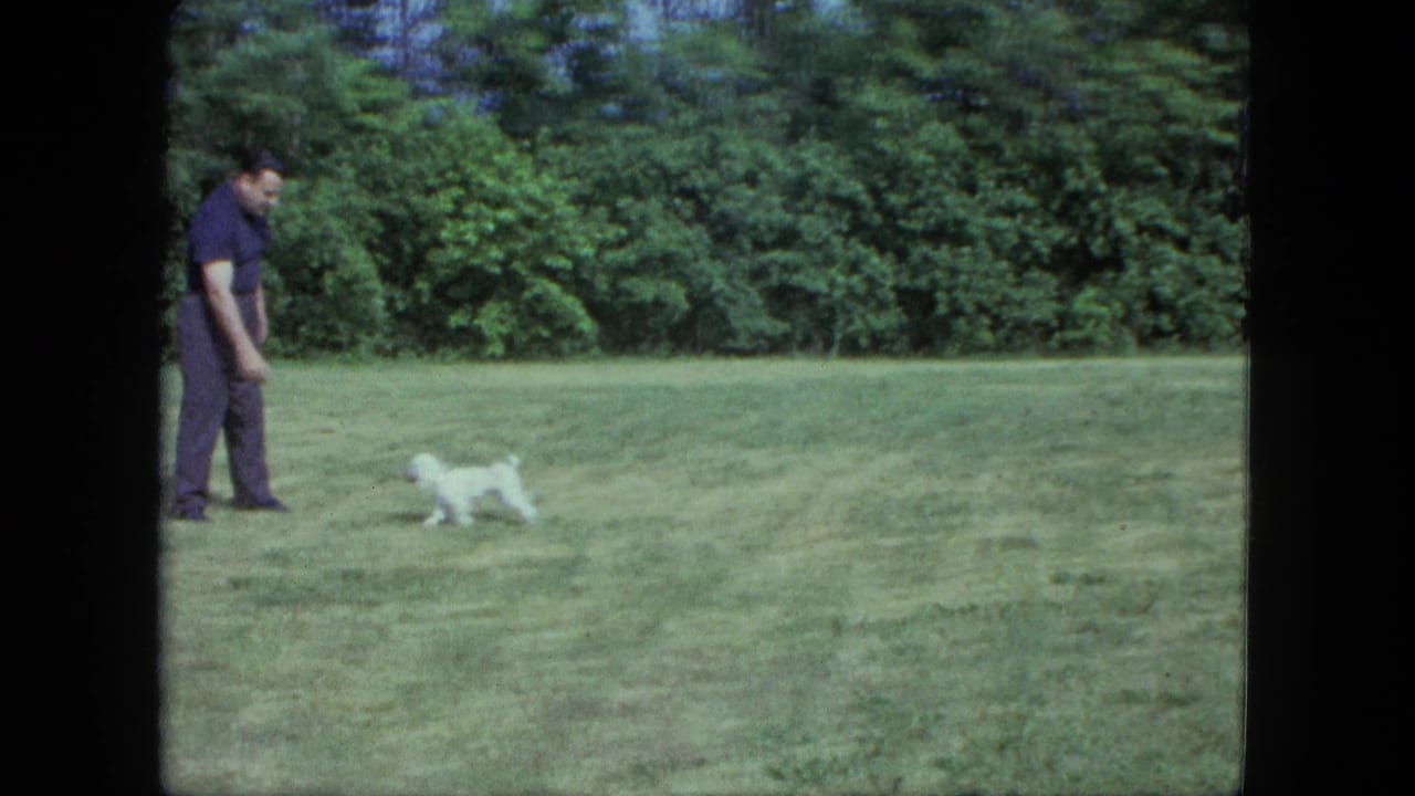 In supported 1963 Saint Paul home-movie footage, a man stands in a grassy field while a tiny white puppy moves away from him.