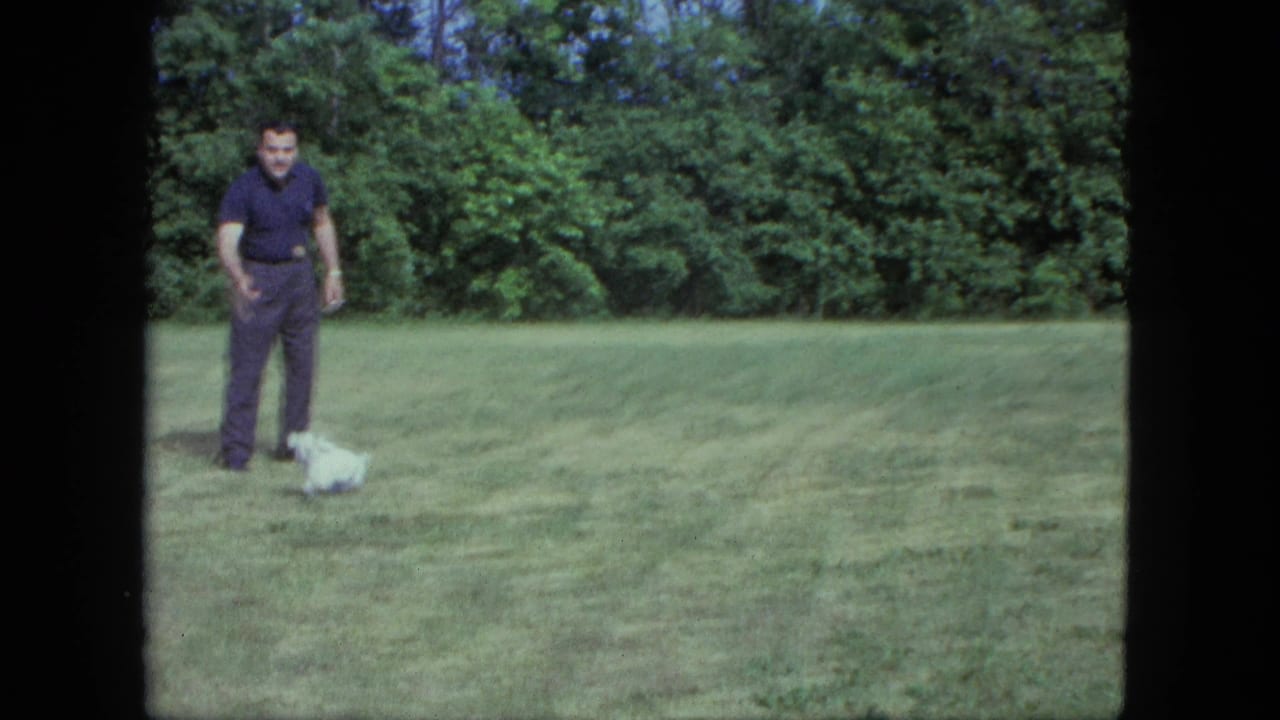 A man in dark clothes faces a tiny white puppy on a green field in 1963 Saint Paul footage, with dense trees behind them.