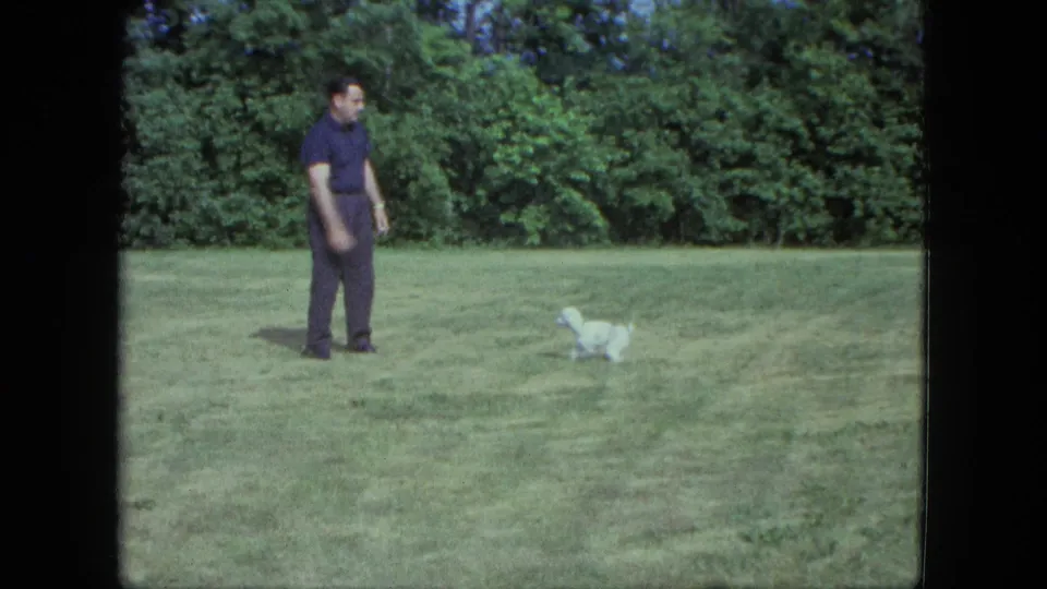The tiny white puppy moves across the mown grass as the man stands nearby in this 1963 home-movie frame from Saint Paul metadata.