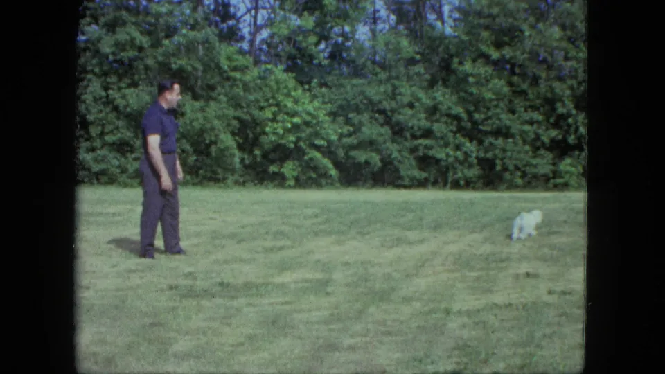 The adult man watches the small white dog pause low in the grass during a 1963 outdoor home-movie scene.