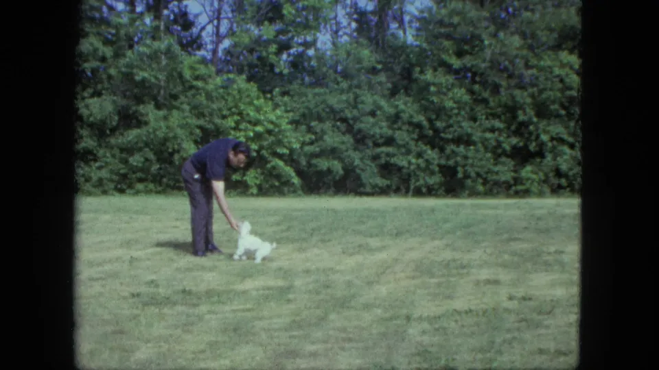 An adult man in a dark shirt and trousers bends toward a small white dog on a Saint Paul lawn in 1963 home-movie footage.