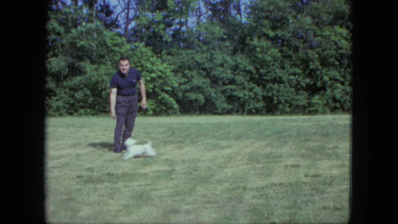 Man in dark clothes stands on a mowed lawn with a small white dog near his feet.