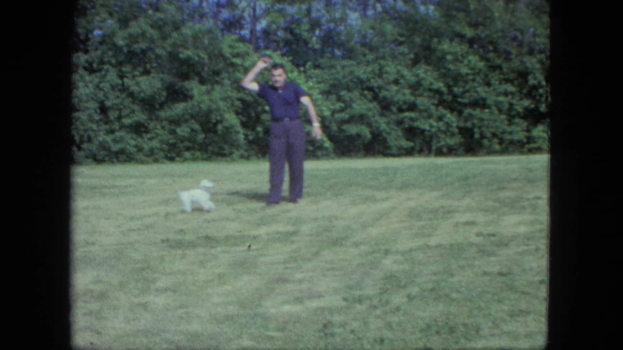 A man in dark clothing raises an arm toward the camera as a small white dog runs across the Saint Paul lawn.