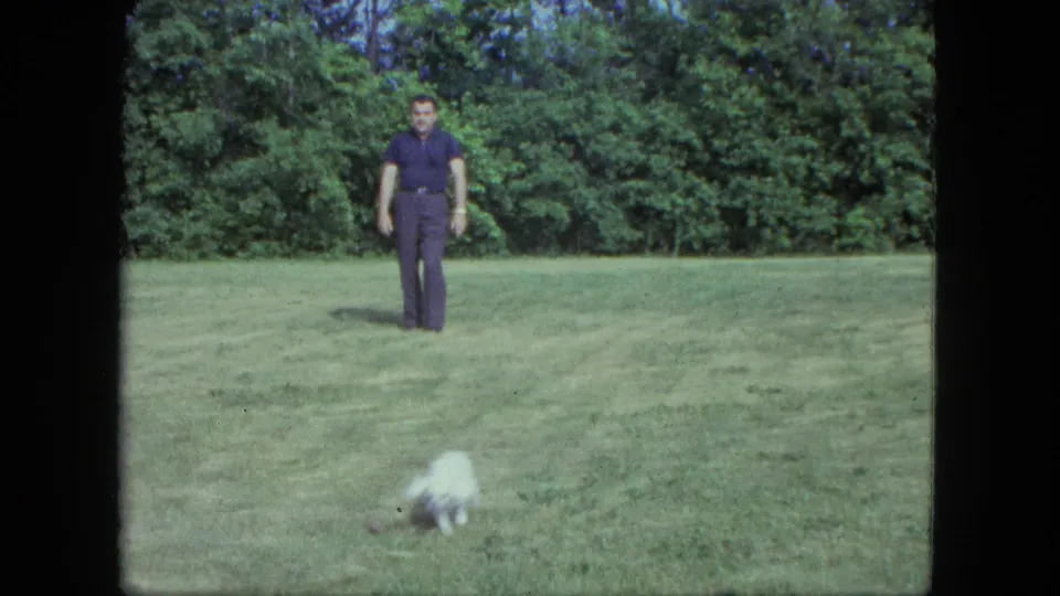The dog runs through the foreground of a mowed Saint Paul lawn while the man stands farther back near the tree line.