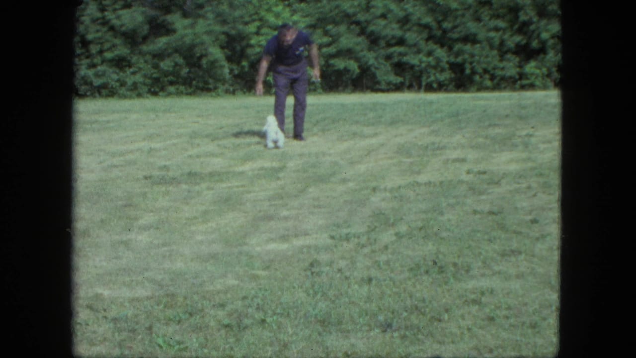 The man leans toward the small white dog on a broad lawn in this 1963 Saint Paul 8mm home-movie frame.