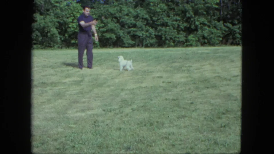 A man in dark casual clothing gestures across the lawn as the small white dog waits nearby in the Saint Paul home-movie scene.