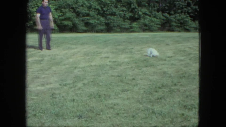 The small white dog rests low on the lawn while the man stands to the left, with trees filling the background of the 8mm frame.