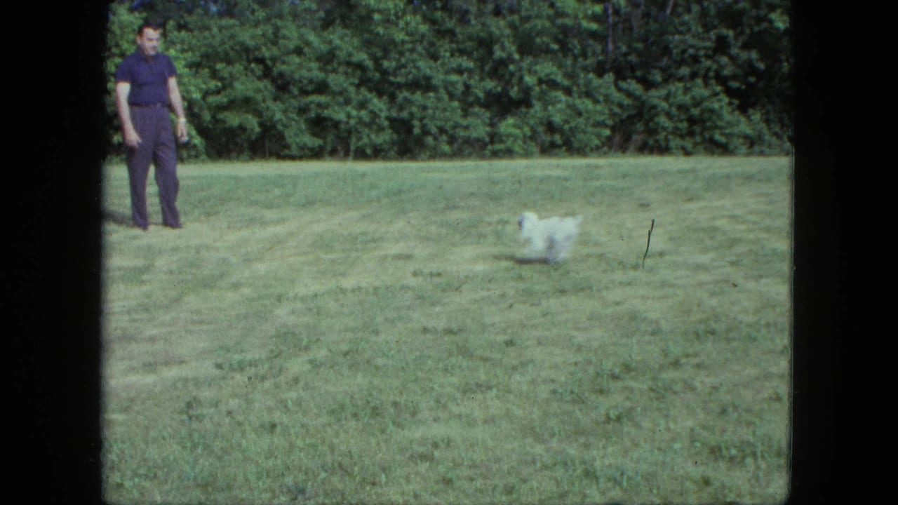 In 1963 Saint Paul home-movie footage, a man stands in a grassy field while a small white dog runs across the lawn near a treeline.