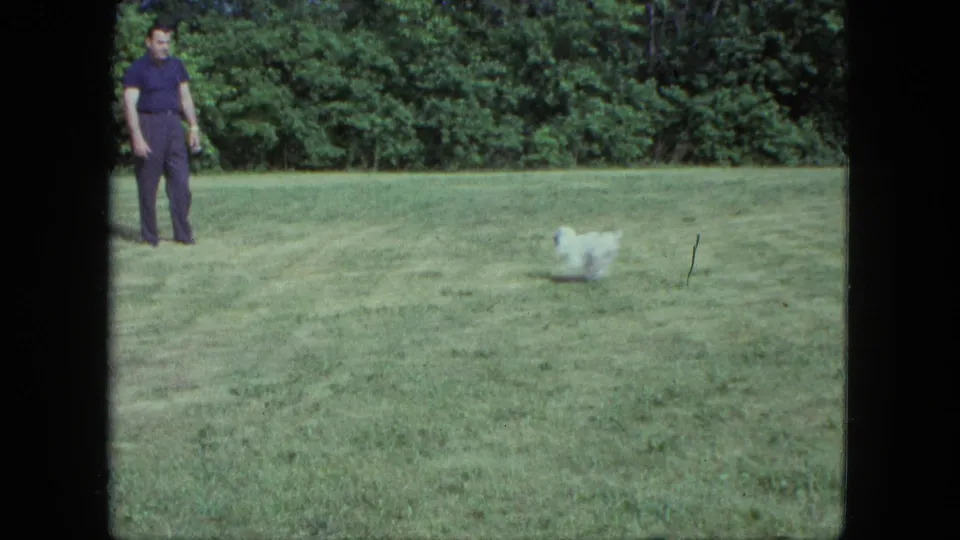 In 1963 Saint Paul home-movie footage, a man stands in a grassy field while a small white dog runs across the lawn near a treeline.