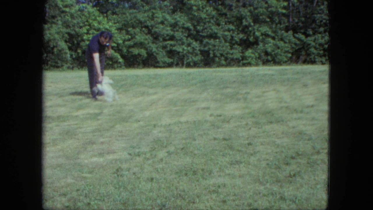 A man in dark clothing bends down toward a small white dog on grass in Saint Paul, Minnesota, in 1963 home-movie footage.