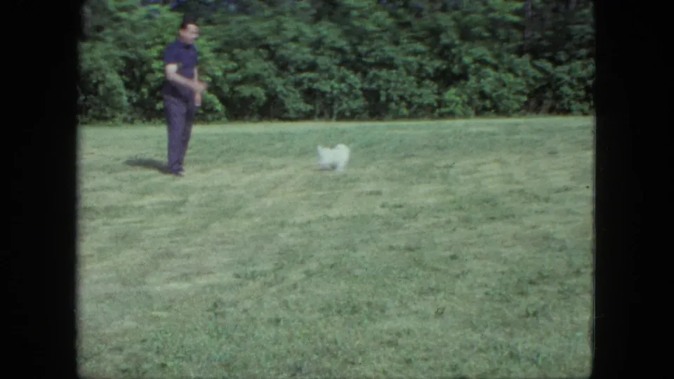 The man walks across the grassy field as the small white dog moves away in this 1963 Saint Paul 8mm home-movie frame.