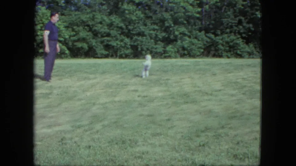 A man stands facing a small white dog in a grassy Saint Paul field, with dense trees behind them, in 1963 8mm footage.