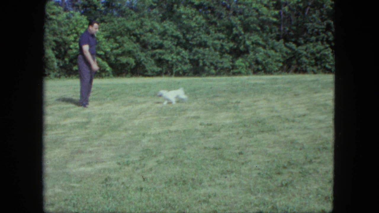 Man in dark clothing stands on a grassy lawn as a small white dog runs nearby.