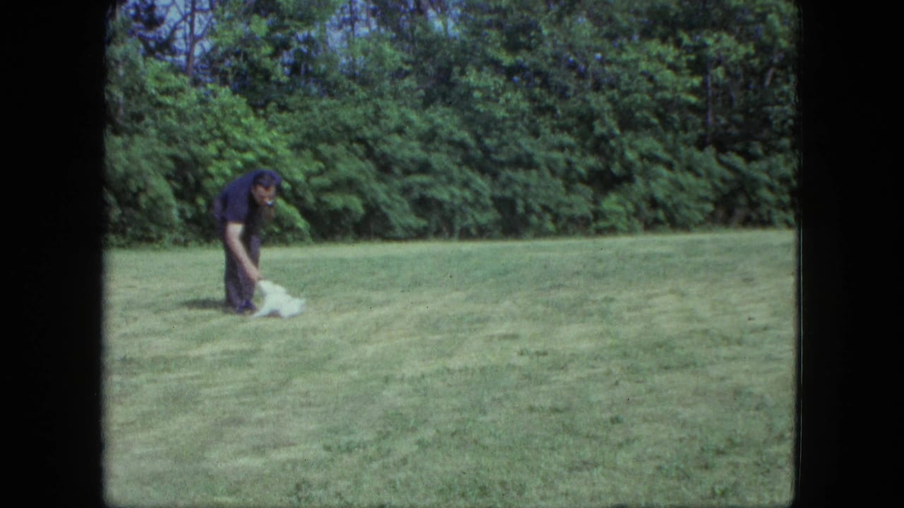 1963 Saint Paul frame with a man bending down toward a small white dog during play on a tree-lined lawn.