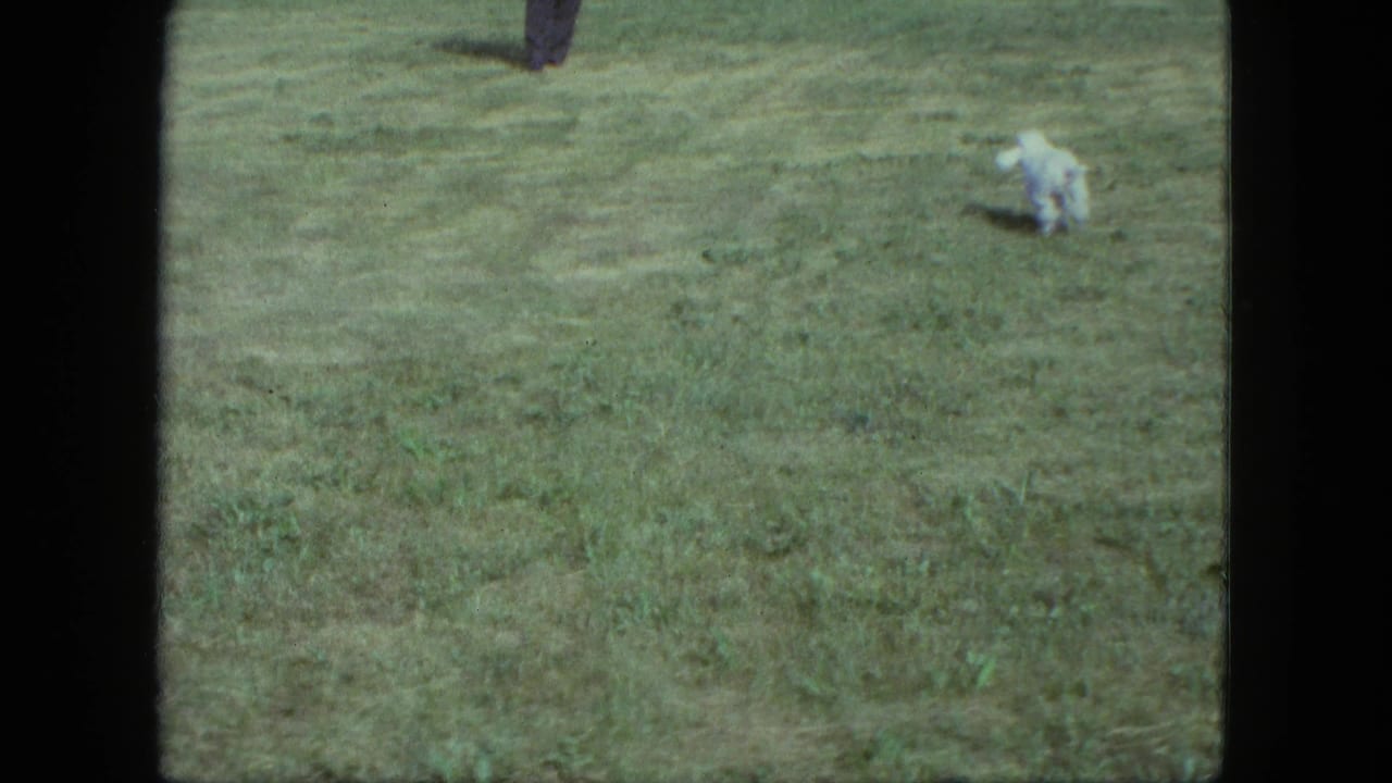 Small white dog appears low to the ground in a grassy field in 1963 Saint Paul home-movie footage.