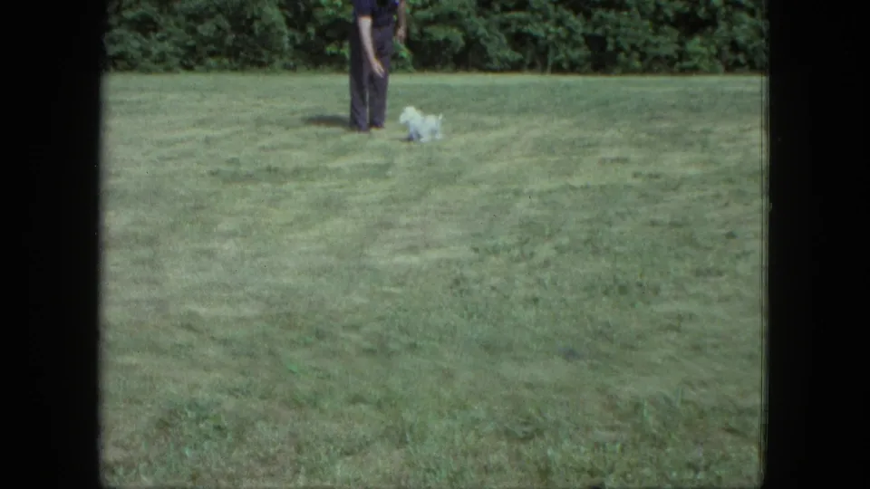 Adult in dark clothing watches a small white dog on a grassy Saint Paul lawn in 1963 home-movie footage.