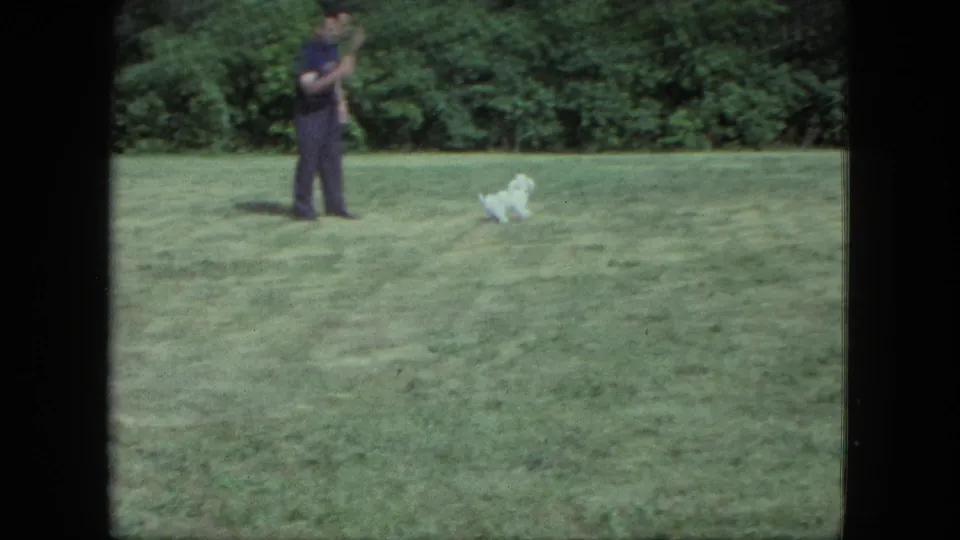 Small white dog runs across grass while an adult stands nearby in 1963 Saint Paul home-movie footage.