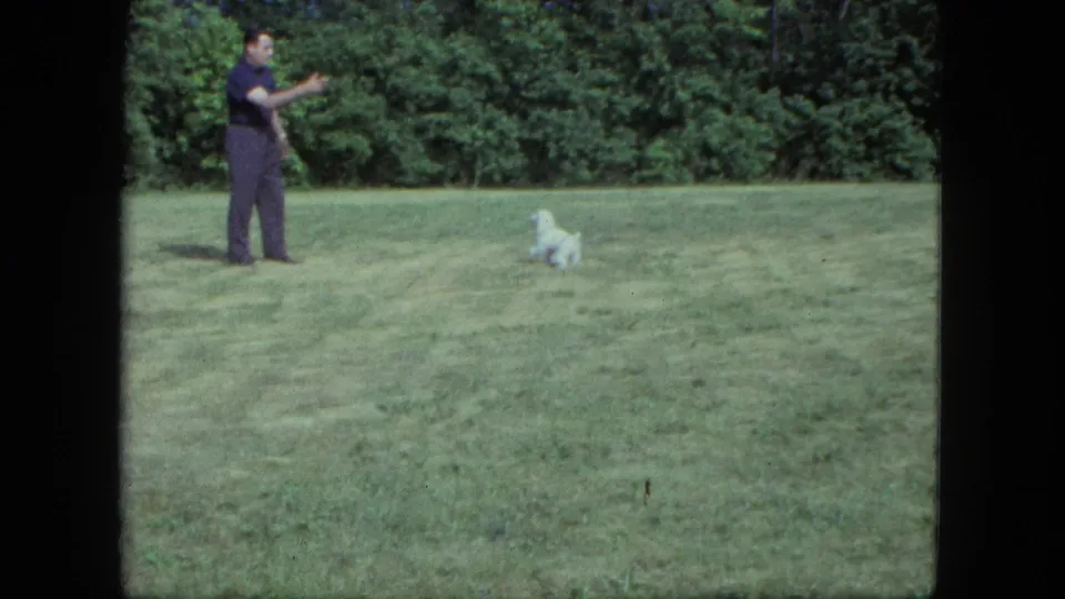 In 1963 Saint Paul home-movie footage, a man stands on a backyard lawn while a small white dog faces him near a tree line.