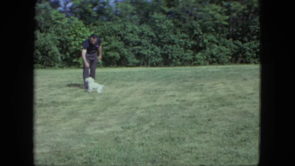 The man bends down toward the small white dog during a backyard play moment in the 1963 Saint Paul footage.
