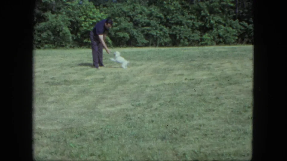 The man bends down toward the small white dog on a green Saint Paul lawn, suggesting a fetch or petting moment.