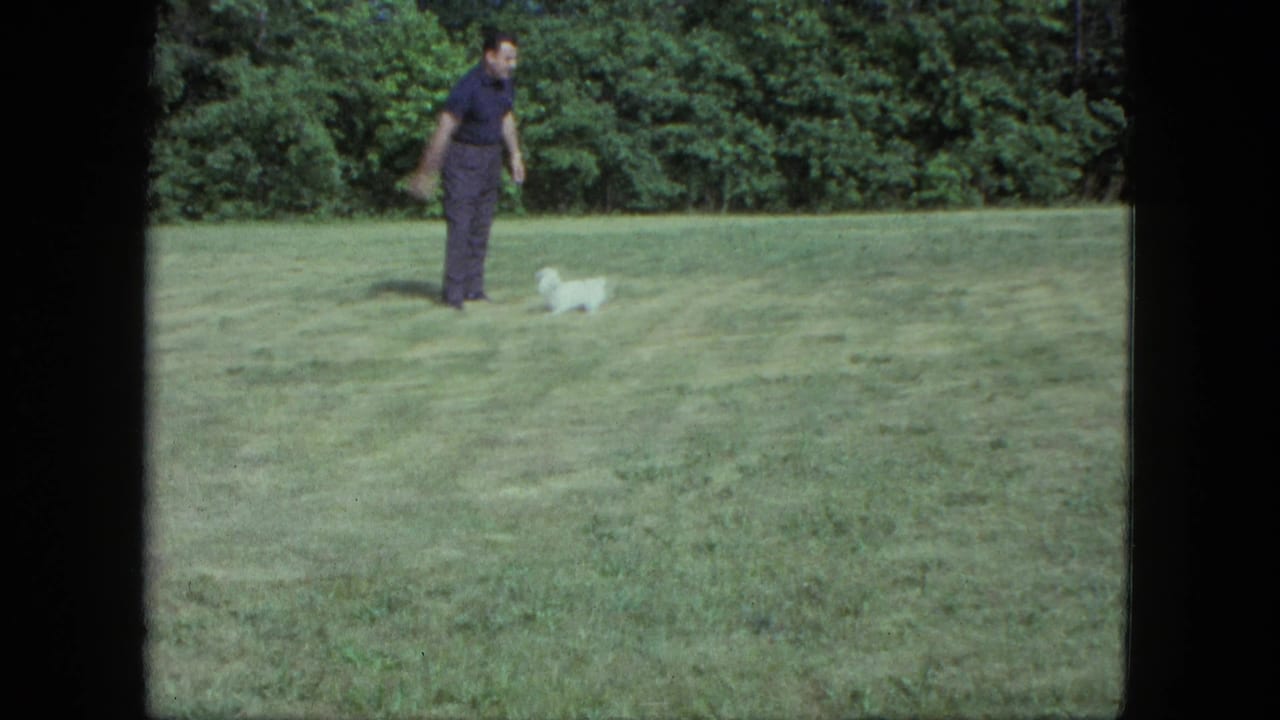 Man in dark clothing stands on a grassy field with a small white dog nearby.