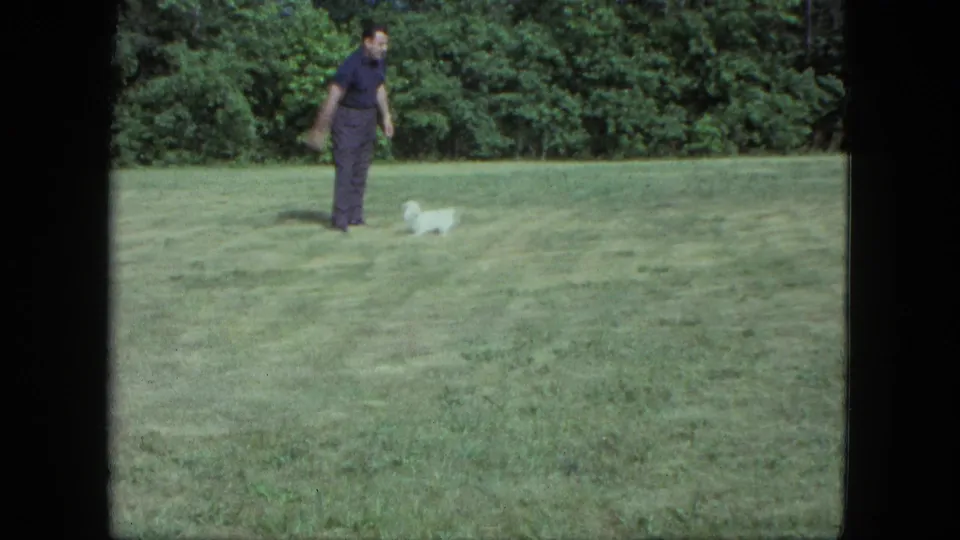 In Saint Paul, Minnesota, 1963, a man stands on a green lawn as a small white dog moves nearby, with trees behind them.