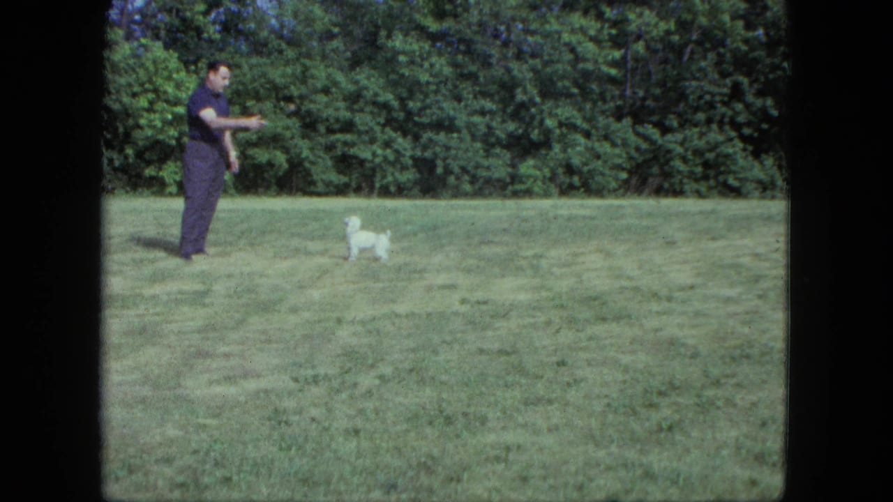 The man appears to direct or toss something toward a small white dog on a Saint Paul lawn in 1963 home-movie footage.