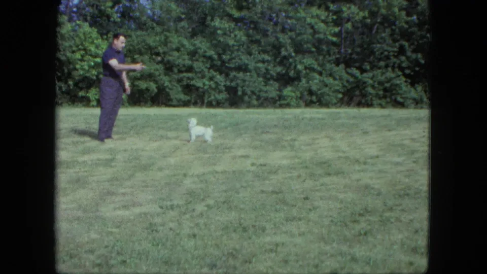 The man appears to direct or toss something toward a small white dog on a Saint Paul lawn in 1963 home-movie footage.