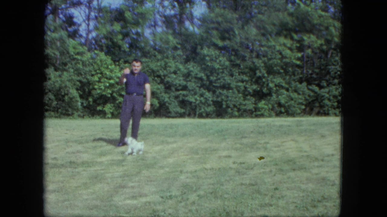 Man in a dark blue shirt stands on a grassy lawn with a small white dog nearby.