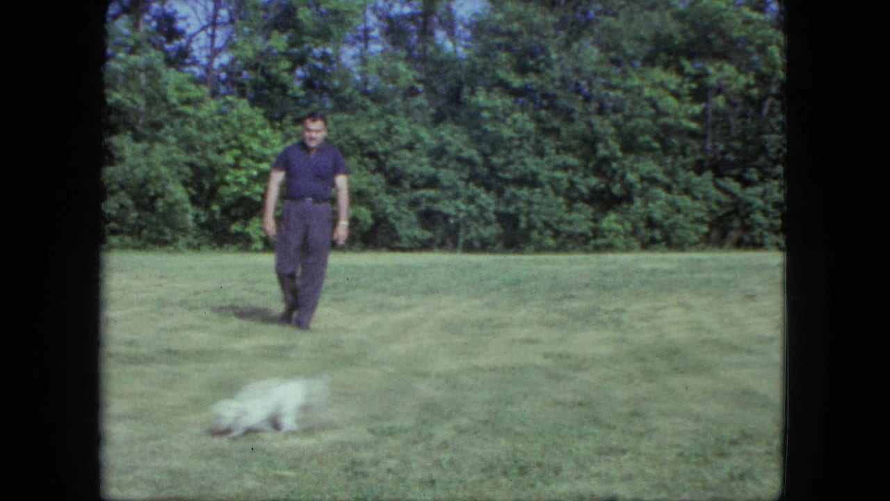 The man crosses the Saint Paul lawn while the small white dog moves quickly through the foreground in soft 8mm color.
