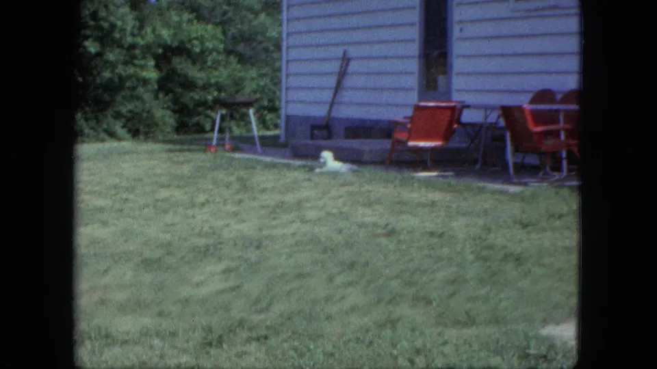 The small white dog appears near a Saint Paul house exterior with red patio chairs and lawn visible in the foreground.