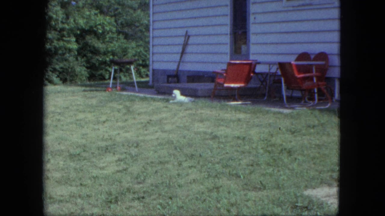 Small white dog lying on a lawn beside a trailer with red patio chairs nearby.