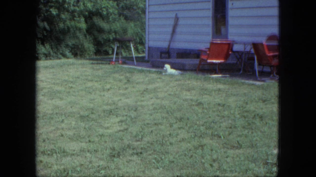 The white dog remains near the trailer on a Saint Paul lawn, with red patio seating and a grill visible behind it.